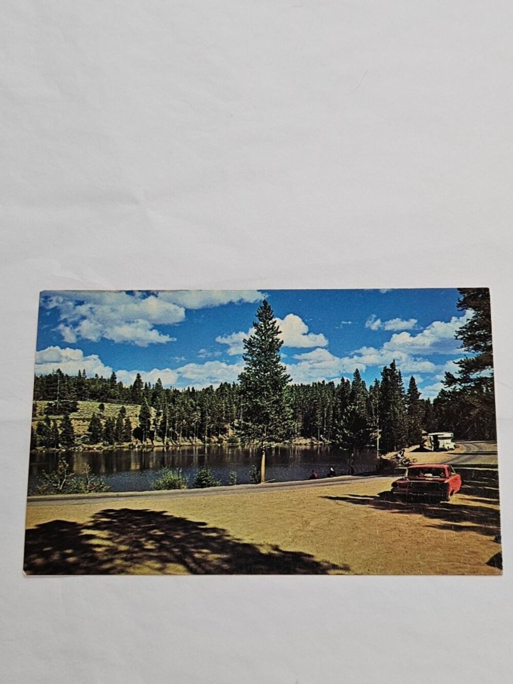 Barber Lake Wyoming Medicine Bow National Forest Postcard